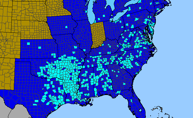 The range of Galium sherardia